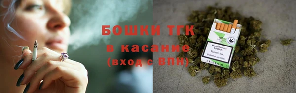 тгк Алзамай
