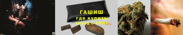 тгк Алзамай
