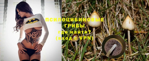 тгк Алзамай